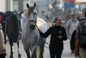 Fieracavalli 2022, un viaggio nel mondo delle razze equestri