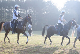Cassinelli e Maestri sul traguardo del Mondiale giovani cavalli di Vic