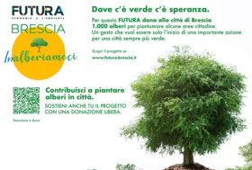 Inalberiamoci – progetto di FUTURA EXPO che donerà alla città 1.000 alberi a nome delle aziende partecipanti