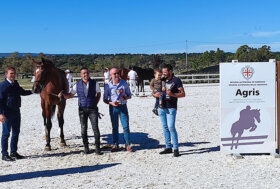 Allevamento e sport: Dillaru Sardo è il puledro campione regionale 2022