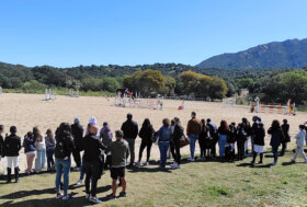 Sport equestri: all’Ippopark/Palahorse di Golfo Aranci il 13° Campionato sardo di equitazione Fisdir