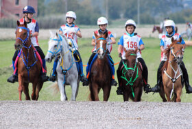 Endurance: due argenti e un bronzo per la Sardegna alla Coppa delle Regioni