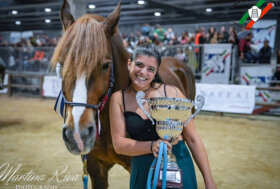 I nostri Giganti Buoni, oltre che essere buoni, sono anche belli e molto versatili