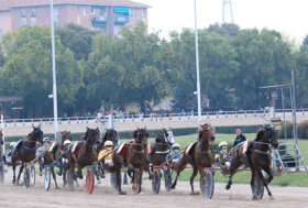 Ippodromo Arcoveggio Bologna: presentazione delle corse di sabato 5 novembre, inizio ore 13.30