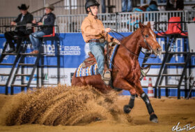 Campionato Italiano Elementa Irha/Fise 2022: Le categorie Youth