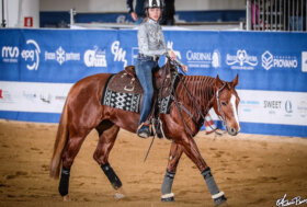 Chiuso a Verona il Campionato Italiano Parareining Elementa Irha/Fise 2022