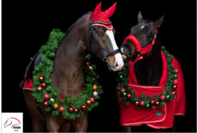 Idee regalo per i tuoi amici a 4 zampe Sconti fino -80% + un libro in regalo