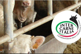 Intercarneitalia al Ministro Lollobrigida