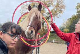 GIGARITMIK: A NATALE PUOI… a Villa Buon Respiro i TPR tra riabilitazione equestre e ginnastica ritmica
