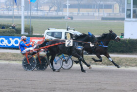 Ippodromo Arcoveggio Bologna: presentazione delle corse di giovedì 29 dicembre – inizio ore 13.35