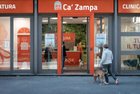 Le strutture veterinarie Ca’ Zampa certificate UNI-EN ISO 9001-2015 e buone pratiche veterinarie ANMVI