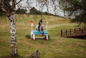 6 e 7 anni Eventing Tour: ecco le classifiche
