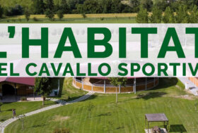 Corso Benessere del cavallo: L’habitat del cavallo sportivo