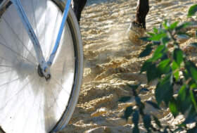 Ippodromo del Mediterraneo: puntuali Erga Omnes Par e Euforia Jet