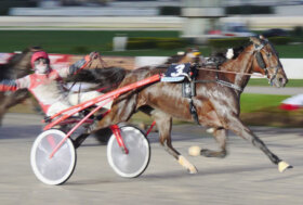 AGNANO. 8 dicembre con i GP Internazionali di Trotto