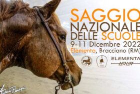 Saggio Nazionale delle Scuole FISE 2022