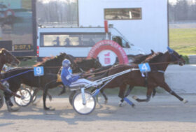 Ennio Grif ci ha preso gusto sulla pista dell’Ippodromo Snai La Maura e si aggiudica il premio SJ’S Photo