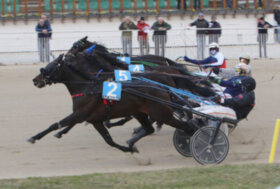 Enzo Jet, finale thrilling nel Premio Cucu di Jesolo e giornata da incorniciare per Gocciadoro