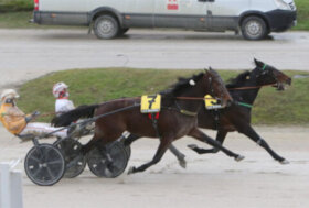 Bullo Gec vince a tavolino il premio Glow di Jesolo