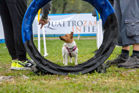 Quattrozampeinfiera a Roma: Sport, informazione e tanto divertimento con il proprio pet