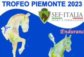 Trofeo Piemonte 2023: Campionato multidisciplinare endurance e dressage