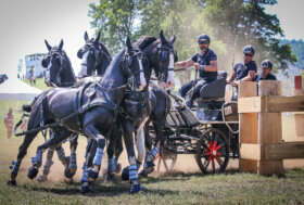 Ecco il Programma sportivo Attacchi e Para-Attacchi per il 2023