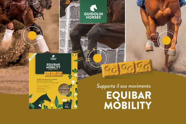 eQuibar Mobility - Guidolin