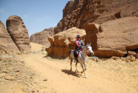 Costanza Laliscia e Fara du Barthas nella Top 10 di AlUla nella prestigiosa gara internazionale di endurance in Arabia Saudita