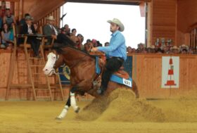 Reining: rinnovata la convenzione tra IRHA e FISE