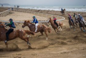 Grandi Eventi: Palio della Costa Etrusca, 33 vittorie e 213 palii a Piazza Del Campo in gara sulla spiaggia di Marina di Bibbona.