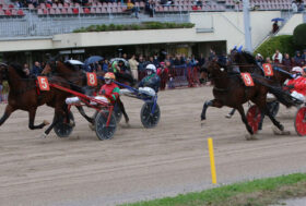 Arcoveggio: resoconto delle corse di domenica – GRAN PREMIO ITALIA E GRAN PREMIO ITALIA FILLY
