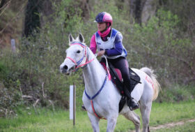 Azzurri sugli scudi a Buch