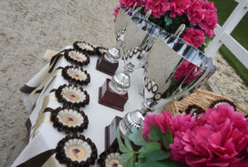 CSIO giovanile e pony di Gorla Minore (VA), tutto è pronto: ecco i dettagli