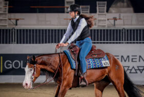 Reining: Campionato Italiano Debuttanti. giovani reiner in evidenza