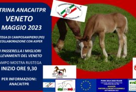 Mostra RUSTEGA 2023 vetrina CAITPR