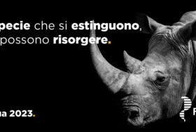 Le specie che si estinguono, non possono risorgere. Pasqua 2023.