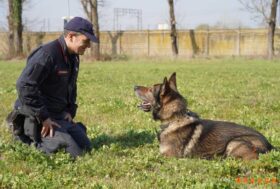 ATTACCHI DI DESIGN 2023