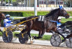 Arcoveggio: presentazione delle corse di domenica 16 aprile