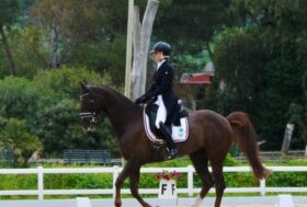 Laura Piras fa il bis nel dressage del Master Centro-Sud