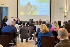 Non solo passione: il turismo equestre verso una cabina di regia