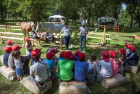 Piazza di Siena: Pony City valido come aggiornamento Tecnici