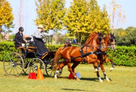 Quarto posto di Cordera a Bornem