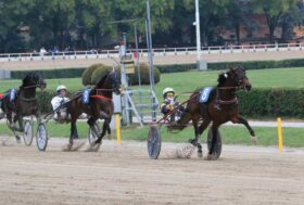 Arcoveggio: presentazione delle corse di giovedì 4 maggio