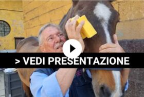 GROOMING 1 e GROOMING 2 sono corsi indispensabili per chi deve prendersi cura del cavallo