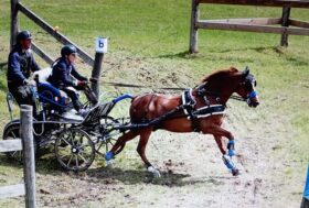 Fise Lombardia, seconda nei Children nel 2022 e, nel 2023, prima tra gli Junior