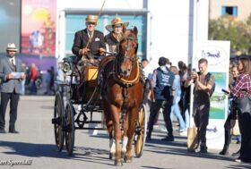 Attacchi: Eleganza in Carrozza