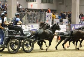 Attacchi: E lo Sport vince ancora!