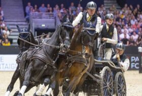 Attacchi: Sport a tutto campo… L’incredibile