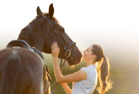 Horse Green Experience, da Roma a Pisa per celebrare il cavallo