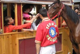 Domenica 7 maggio dalle ore 15.00 alle 18.00 “Farfalle & Cavalli” all’Arcoveggio